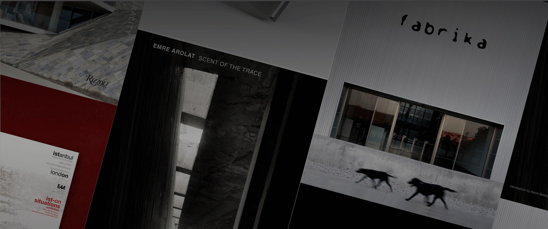 EAA – EMRE AROLAT ARCHITECTURE | PUBLICATIONS